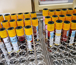 ����� ������������� ����� ����� � ���� ���������������