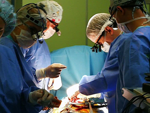 ����������� ������� ������������� ������� ���������� �������� �� ������� ������������������� ��������� ������� ����� � �������