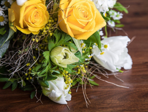 ������ ����������� ����������: ��������� �������