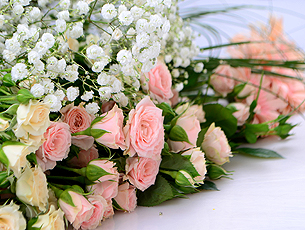 ������ ����������� ����������: ���������� �������