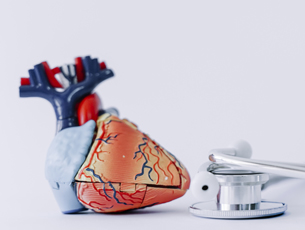 29 ������� � �������� ����� �����